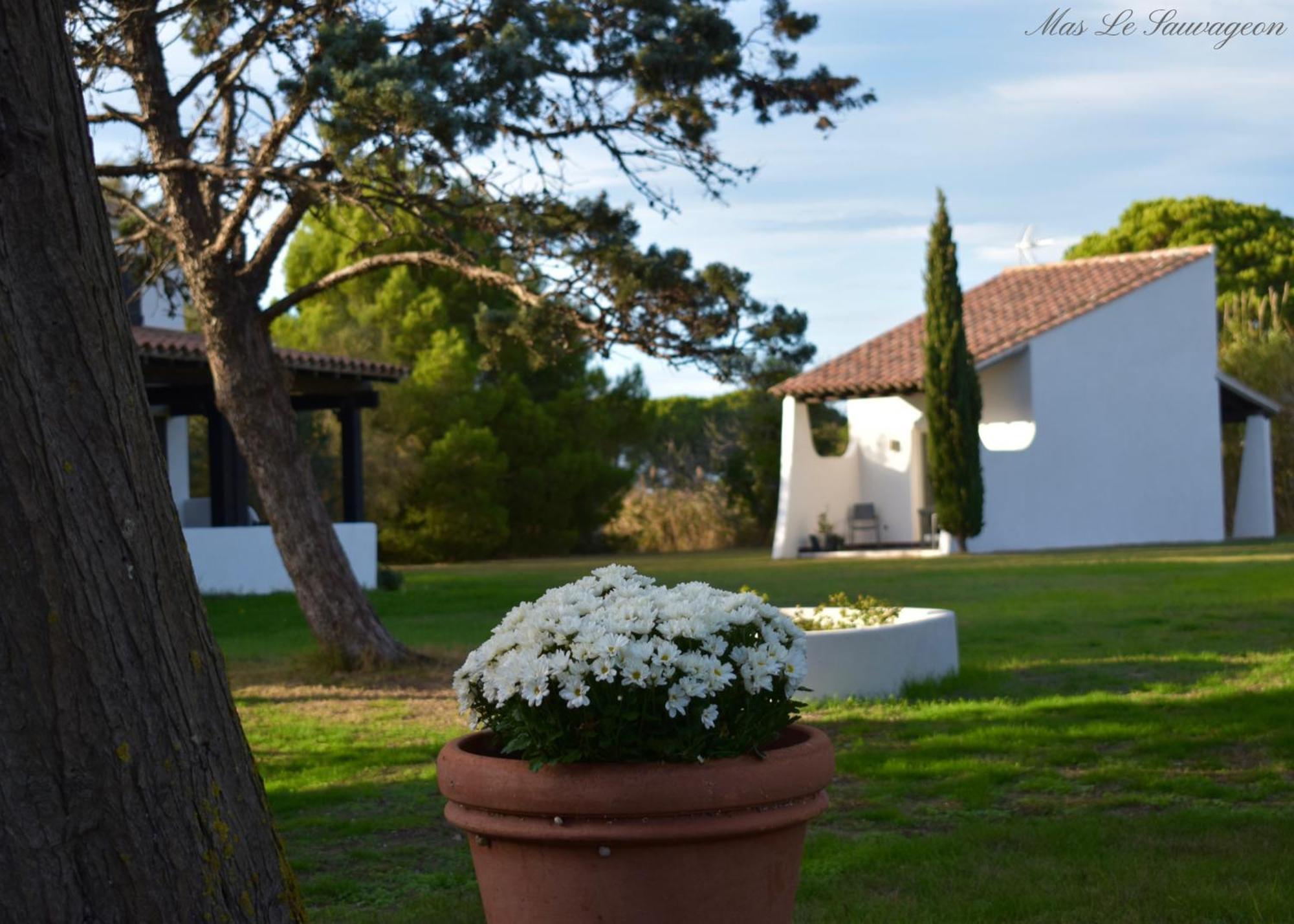 Hotel Mas Mls Saintes-Maries-de-la-Mer Zewnętrze zdjęcie